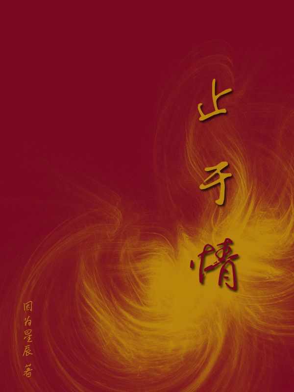 止于情